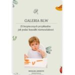 Galeria BLW - 25 przykładów jak bezpiecznie wprowadzić kawałki do diety niemowlaka