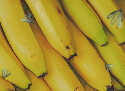 jak podac banana niemowlakowi